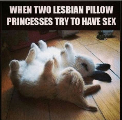 pillow princess meme|Being a 'Pillow Princess' Isn't the Same As Being a Lazy Lover .